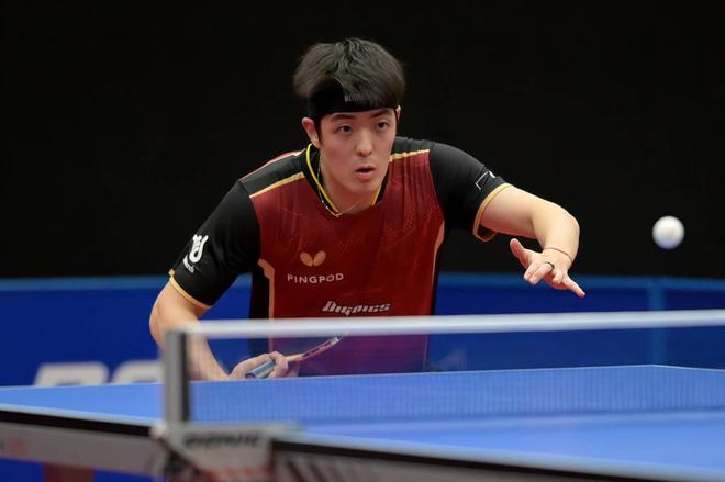 若能挑选到 若能挑选到